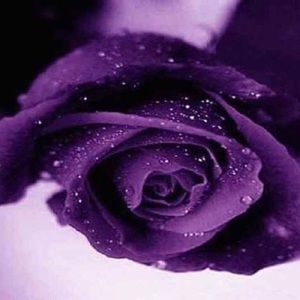 COPY - Meet your Posher, Gwen